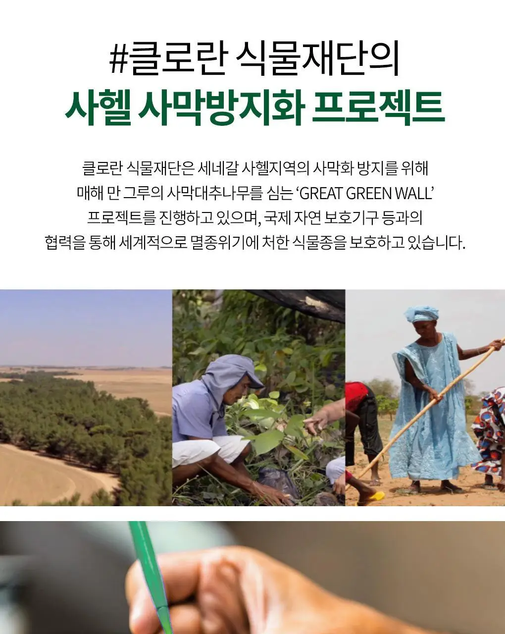 [손상 & 건조모발 헤어에센스] 클로란 망고버터 데미지 리페어 헤어 크림 125ml 상세페이지 16